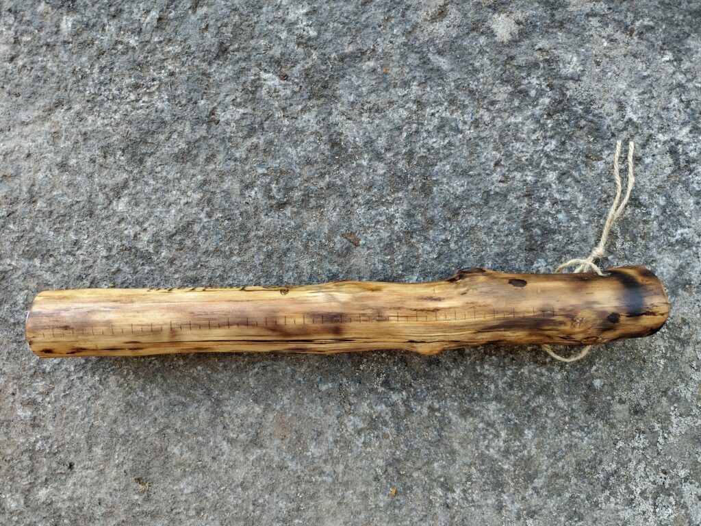 Kalapappi, poltettu