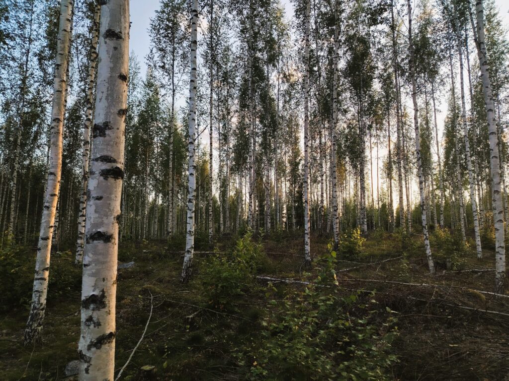 Pieni tuoteräätälöinti