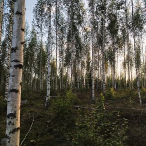 Pieni tuoteräätälöinti