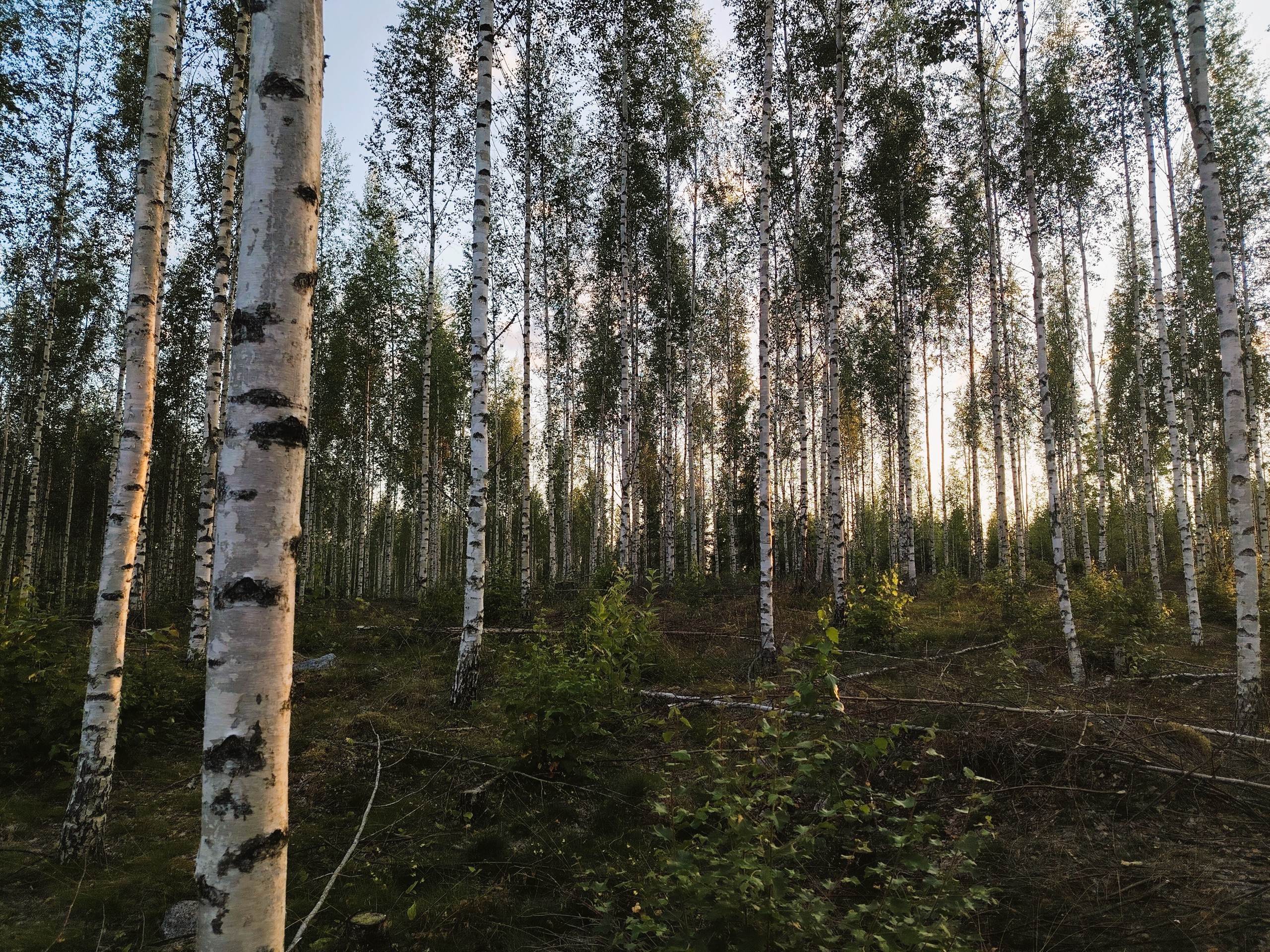 Pieni tuoteräätälöinti